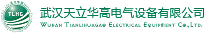 這是關(guān)于武漢天立華高電氣設(shè)備有限公司的logo圖片，歡迎大家來(lái)公司網(wǎng)站！